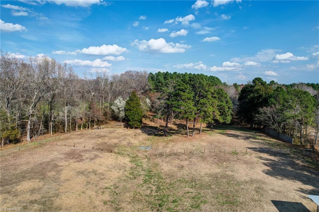 7217 Bulb Road Julian, NC 27283 - Photo 48 of 50