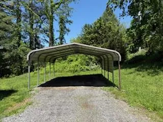 a view of backyard with plants and green space