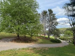 a view of a park with large trees