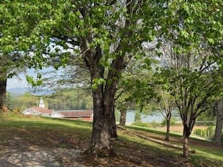 102 Ledford Chapel Road Hayesville, NC 28904 - Photo 6 of 30 a view of outdoor space and yard
