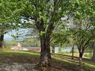 a view of outdoor space and yard