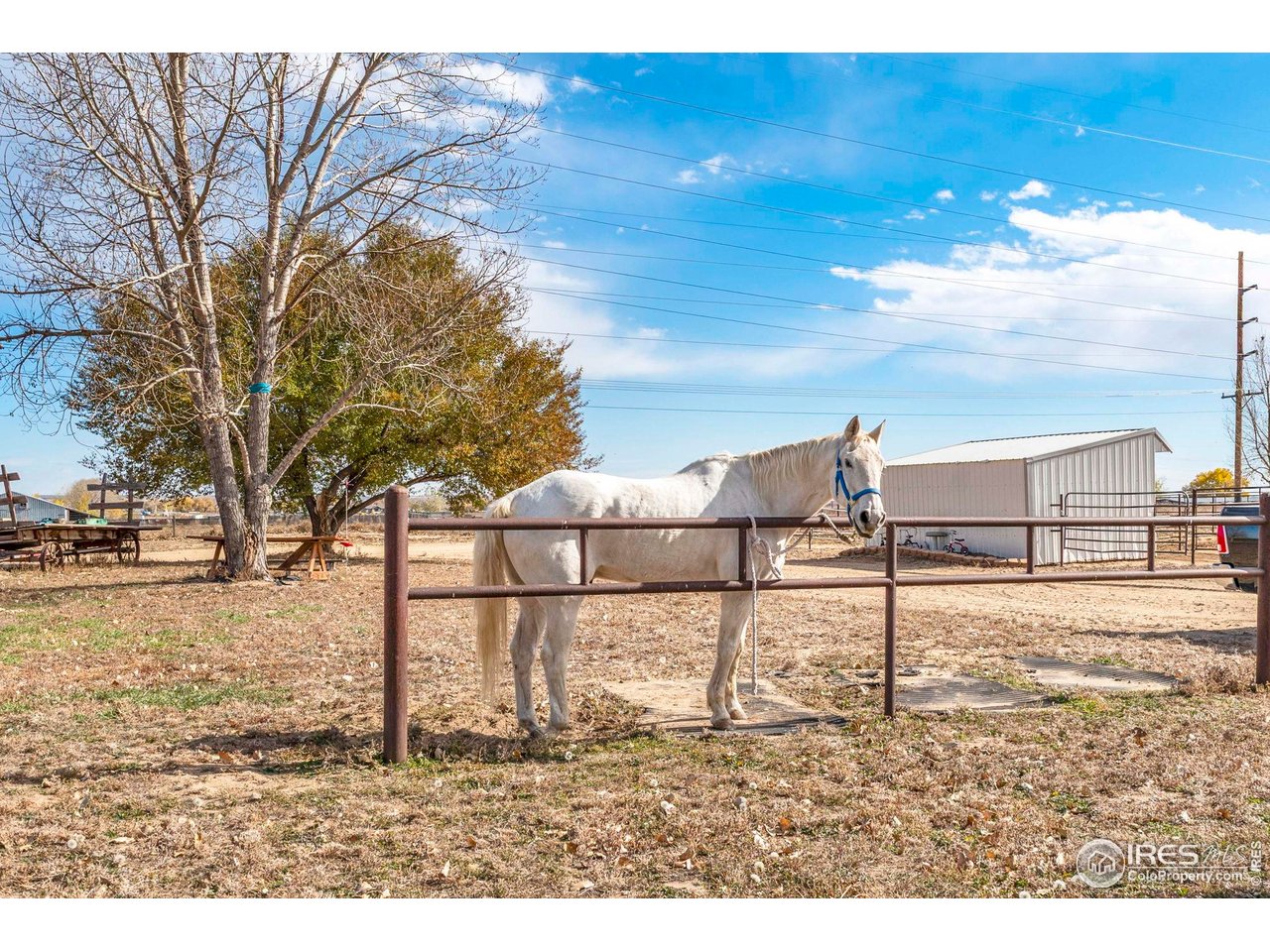 9875 County Road 24 Fort Lupton, CO 80621 - Photo 49 of 50