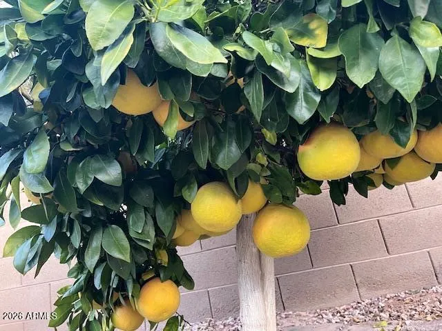 $1,250,000 | 3770 East Iris Drive, Chandler, AZ 85286