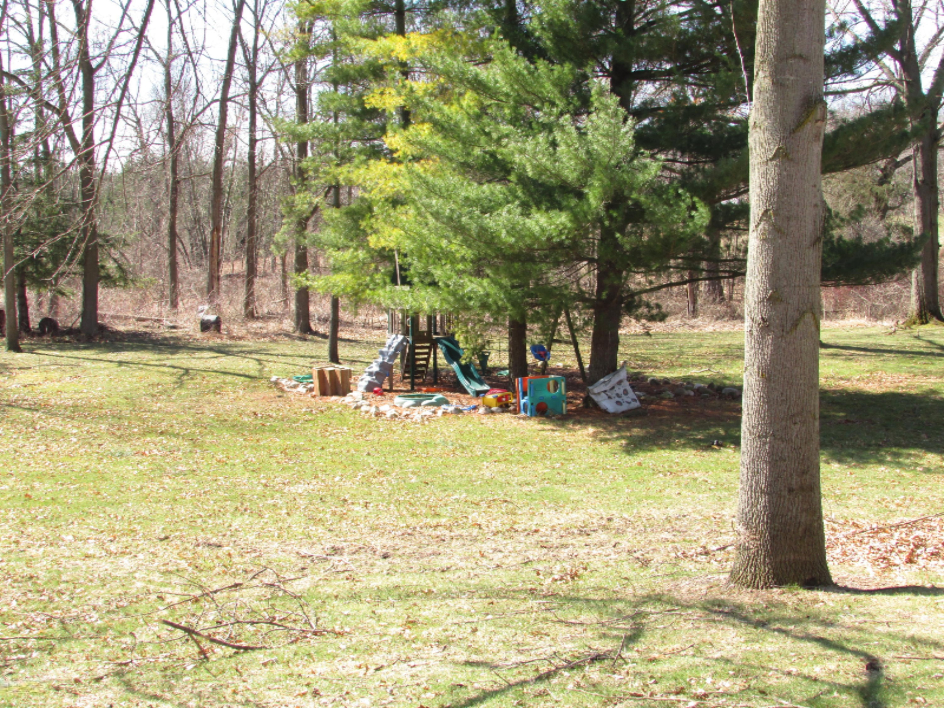 1027 Bowers Road Bronson, MI 49028 - Photo 23 of 24 IMG_4637