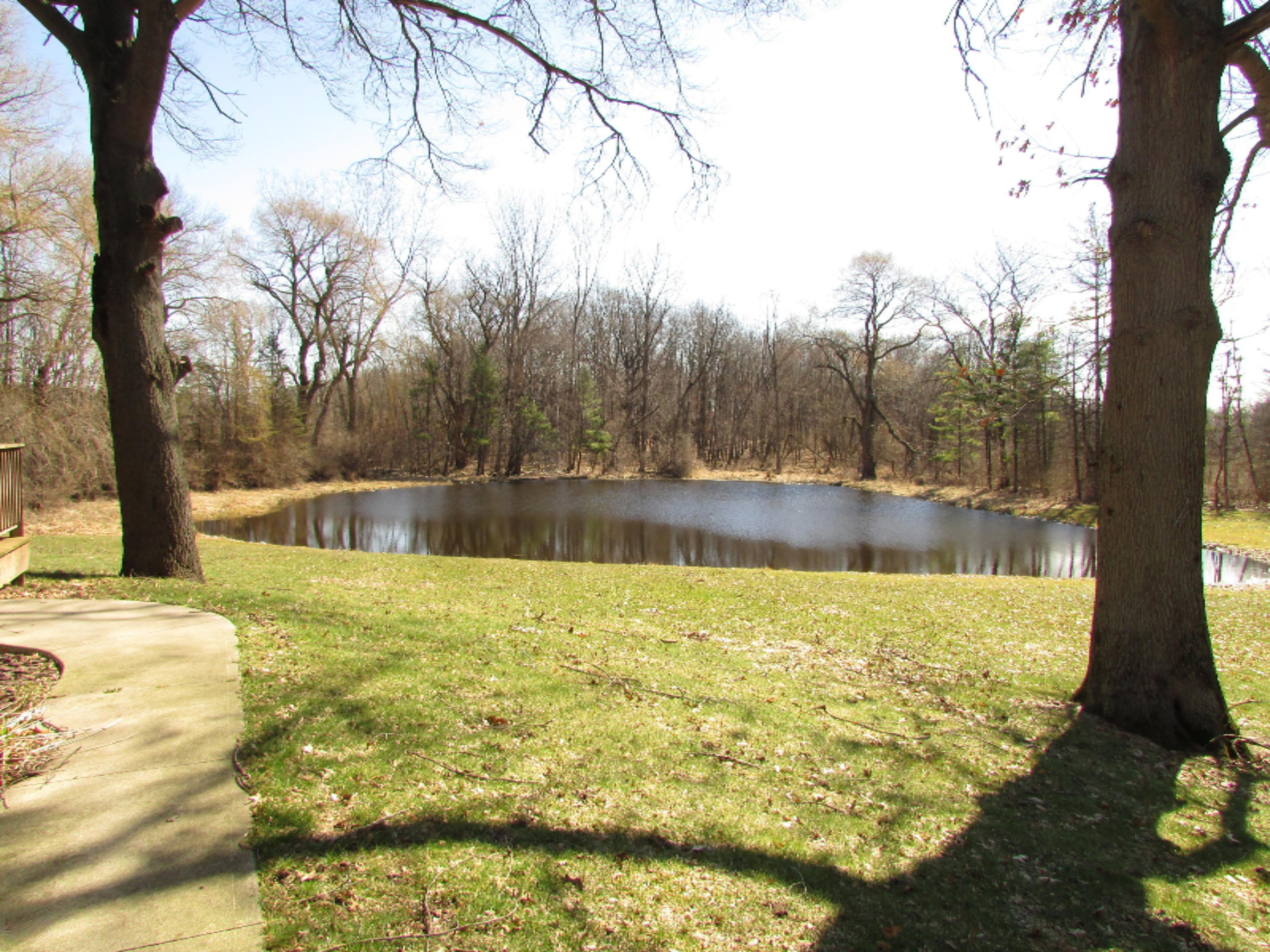 1027 Bowers Road Bronson, MI 49028 - Photo 24 of 24 IMG_4634