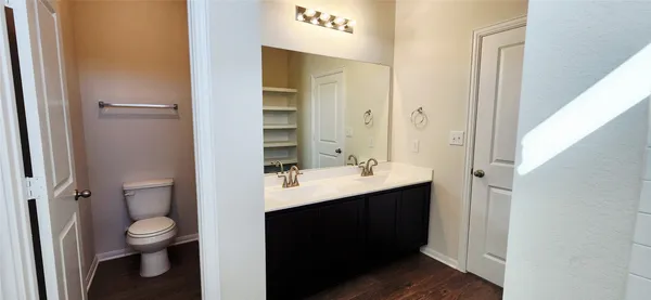 a bathroom with a toilet a sink and mirror