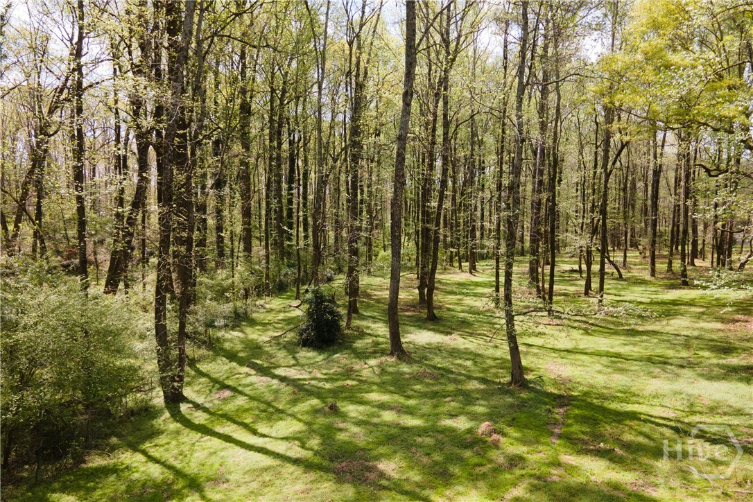 2866 Booger Hill Road Danielsville, GA 30633 - Photo 65 of 73