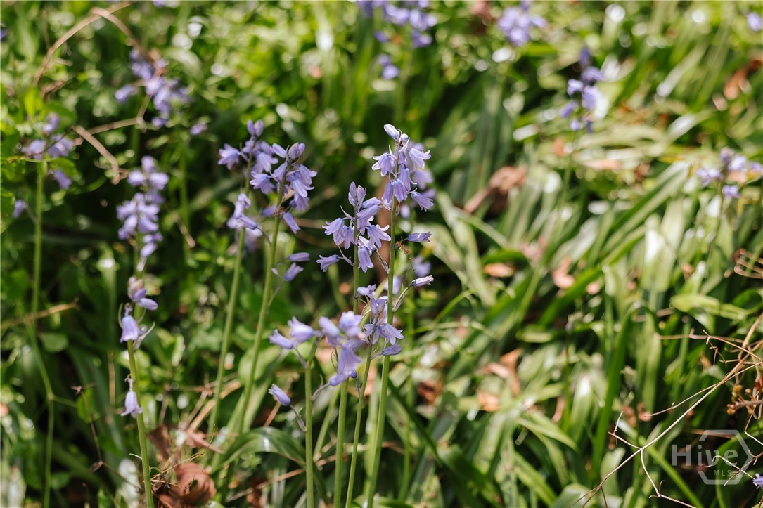 2866 Booger Hill Road Danielsville, GA 30633 - Photo 66 of 73