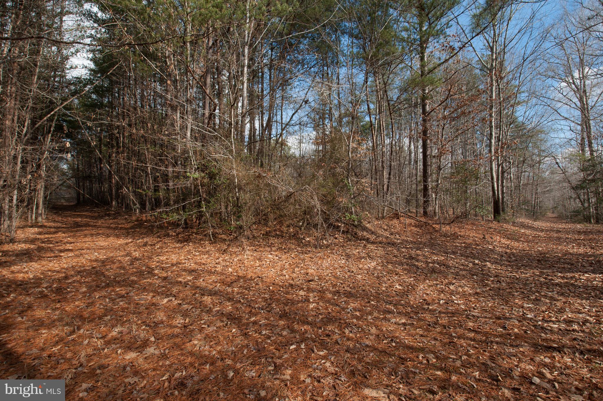 13511 Union Church Road Sumerduck, VA 22742 - Photo 53 of 55