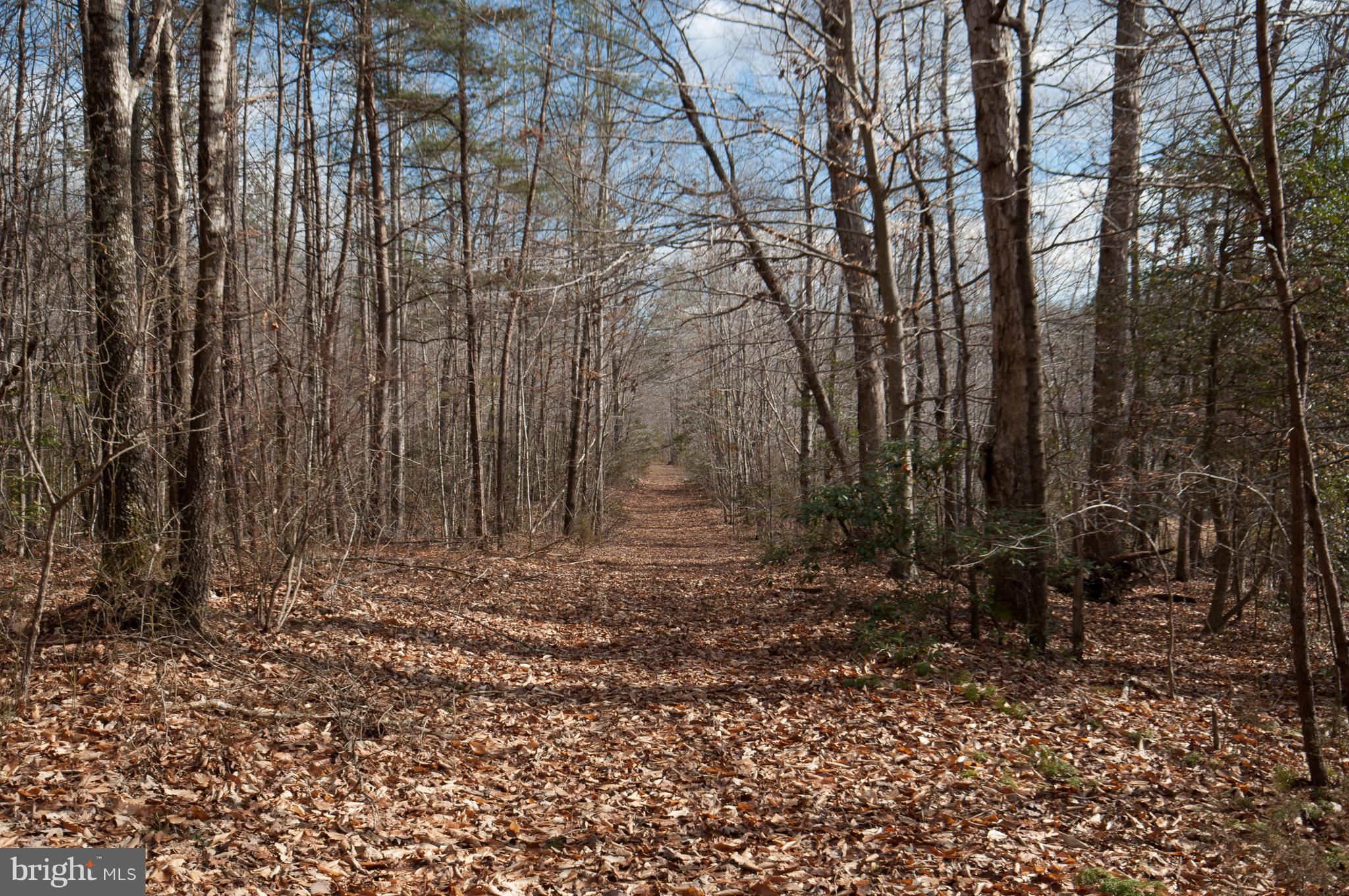 13511 Union Church Road Sumerduck, VA 22742 - Photo 54 of 55 Trails