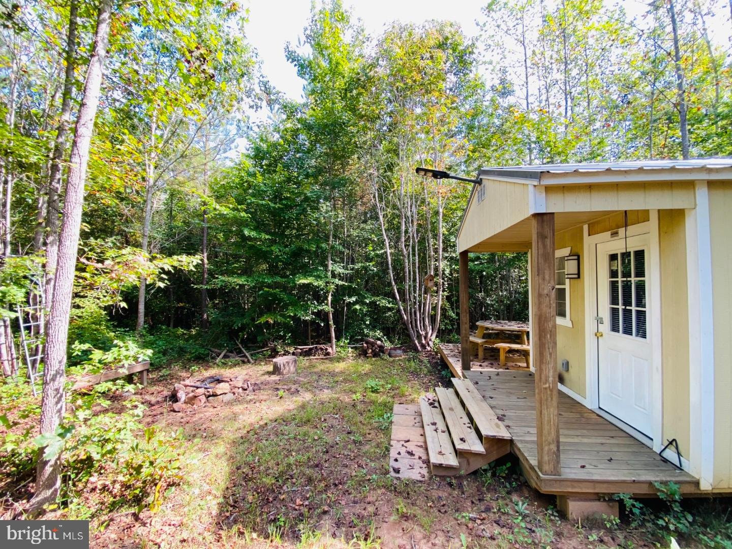684 Squirrel Hollow Road Alberta, VA 23821 - Photo 38 of 43 Charming retreat nestled in lush greenery.