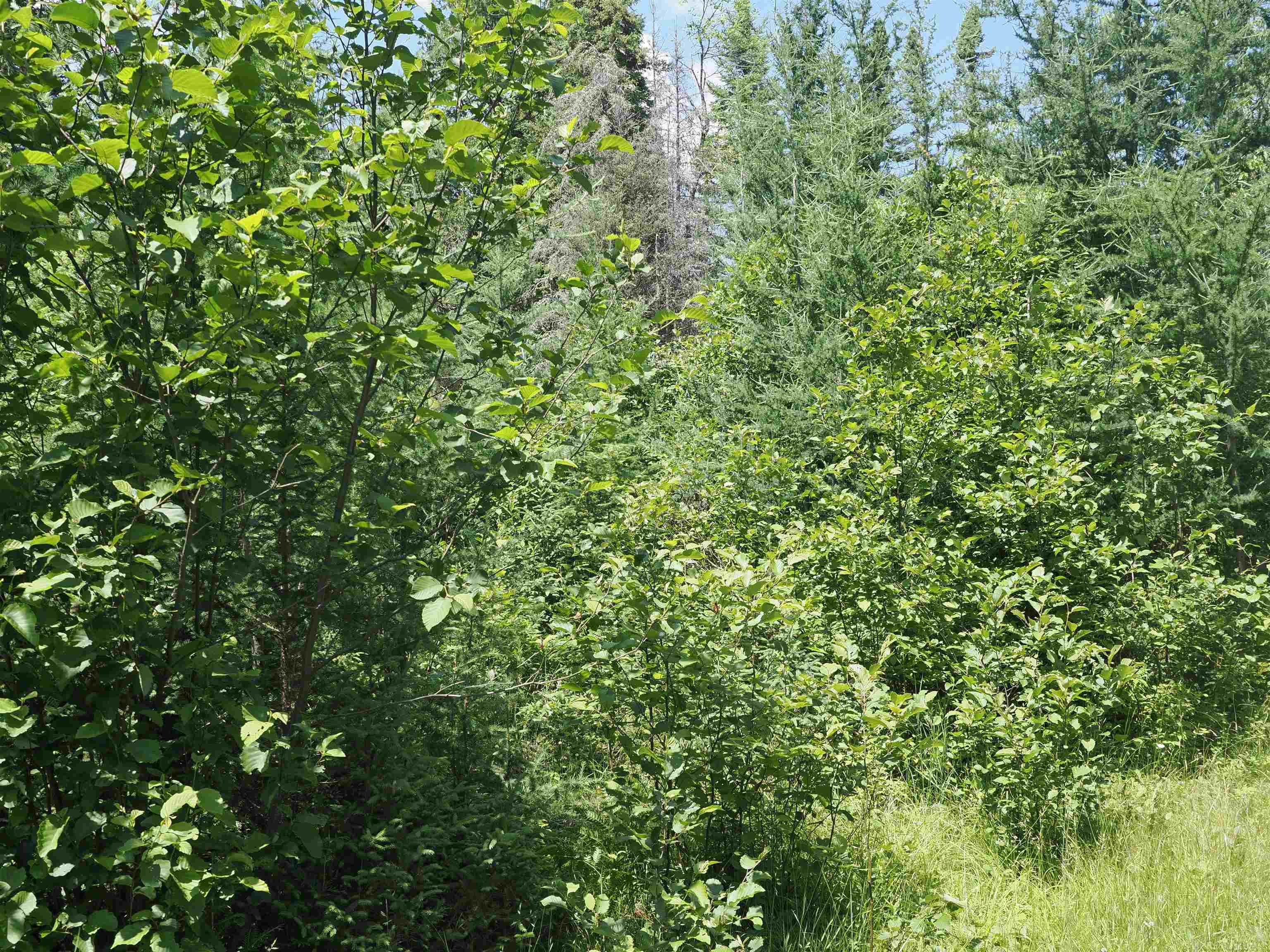 0 County Road Ishpeming, MI 49849 - Photo 24 of 85