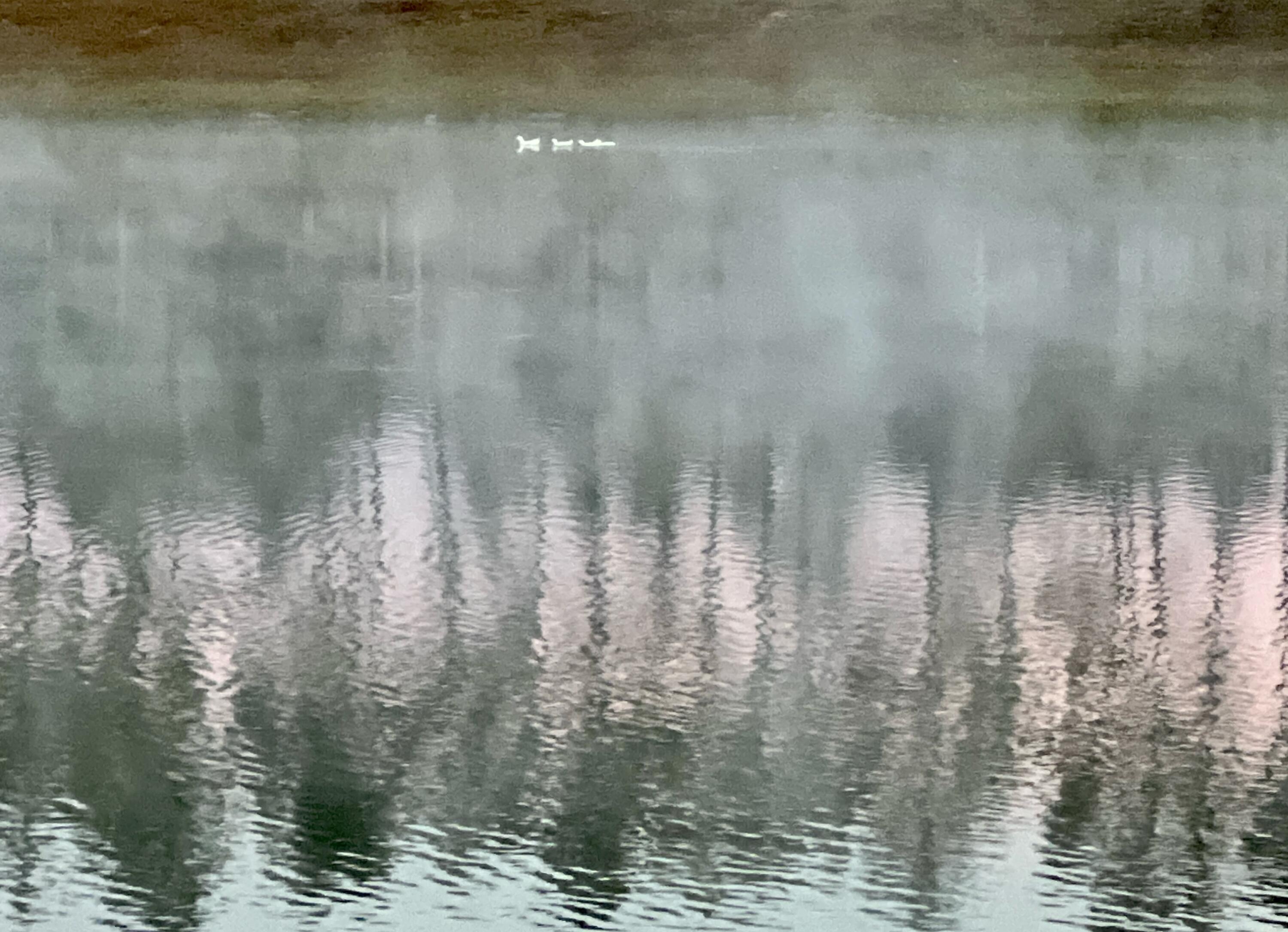 102 Mill Pond Cove Freeport, FL 32439 - Photo 33 of 46