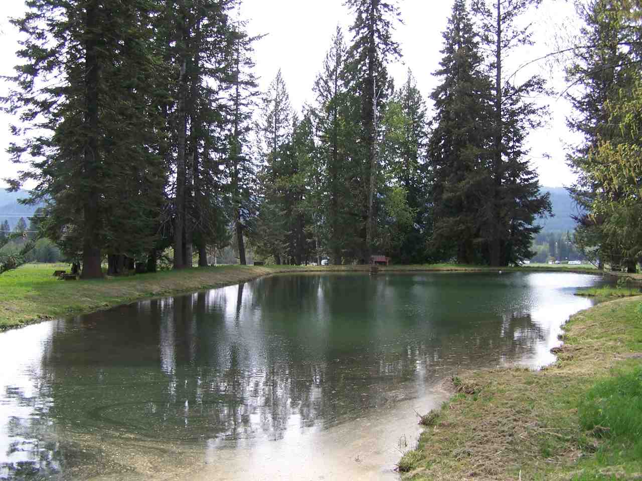 31322 LeClerc Road North Ione, WA 99139 - Photo 2 of 20 Gallery Image 2