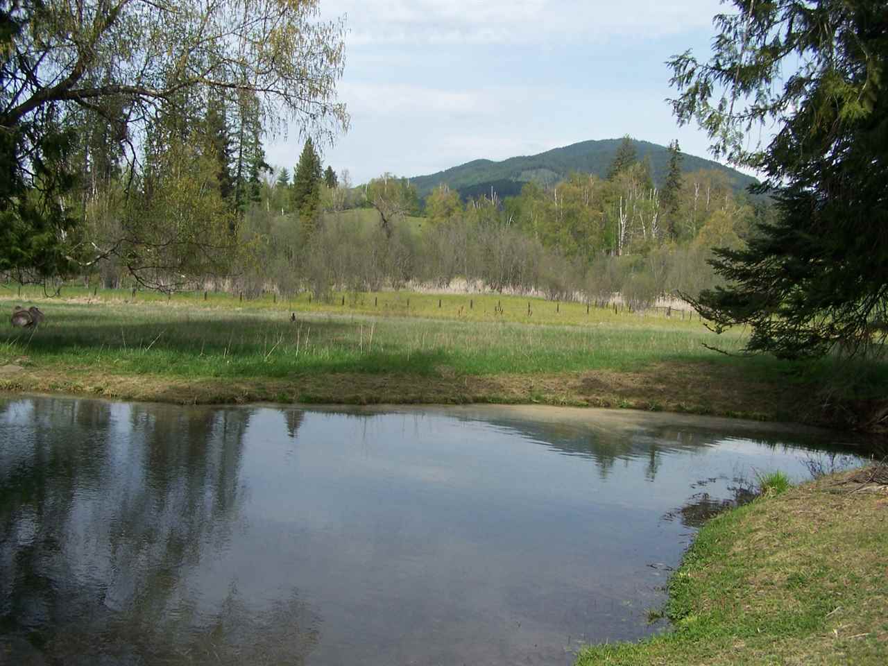 31322 LeClerc Road North Ione, WA 99139 - Photo 18 of 20 Gallery Image 18