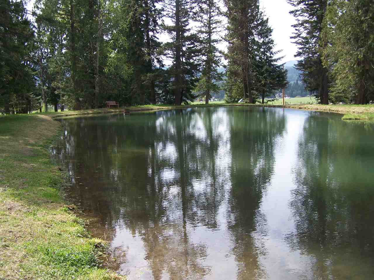 31322 LeClerc Road North Ione, WA 99139 - Photo 19 of 20 Gallery Image 19