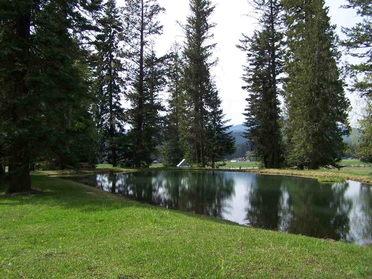 31322 LeClerc Road North Ione, WA 99139 - Photo 20 of 20 Gallery Image 20