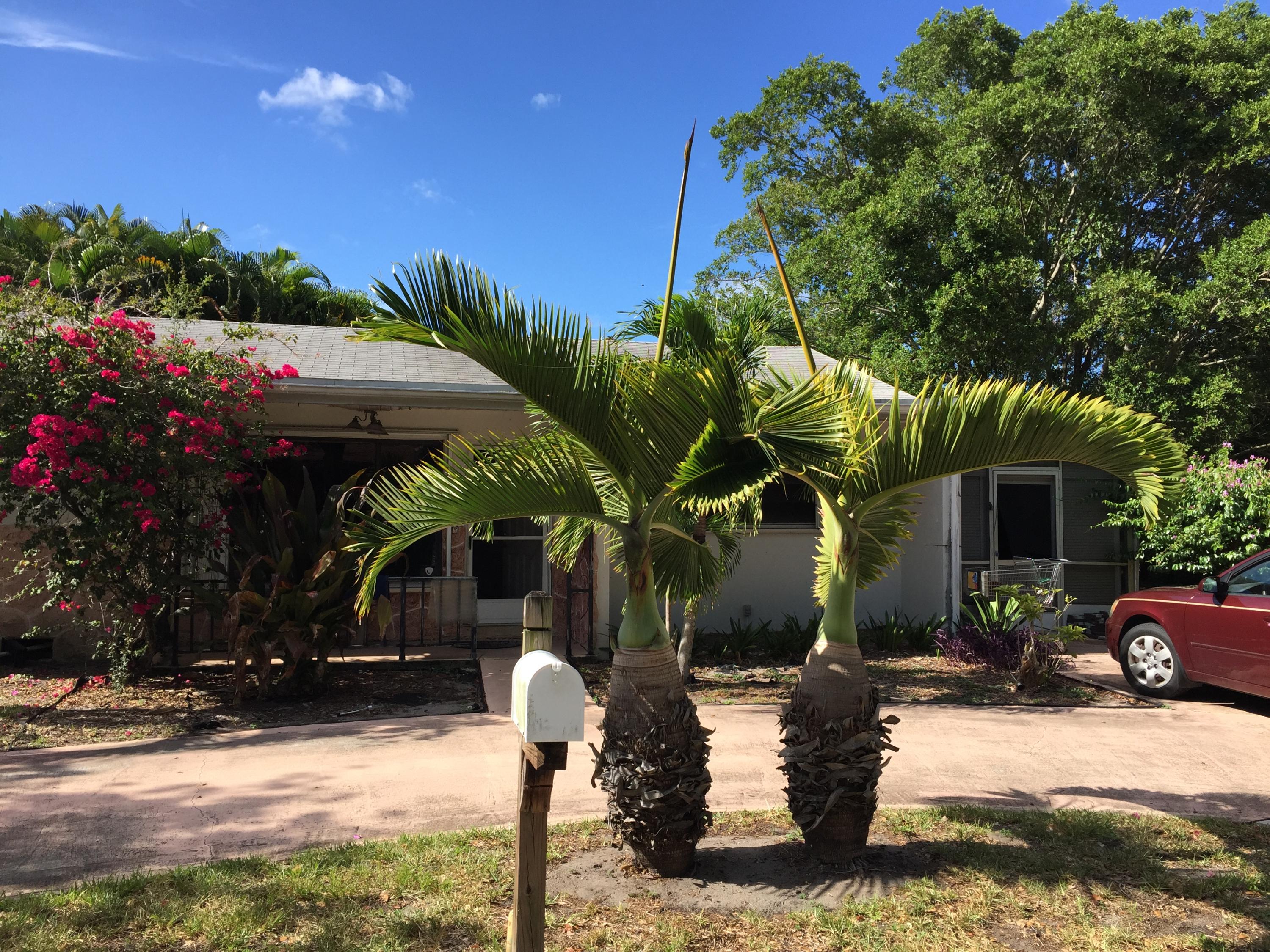 14959 Whatley Road Delray Beach, FL 33445 - Photo 3 of 8 IMG_0193