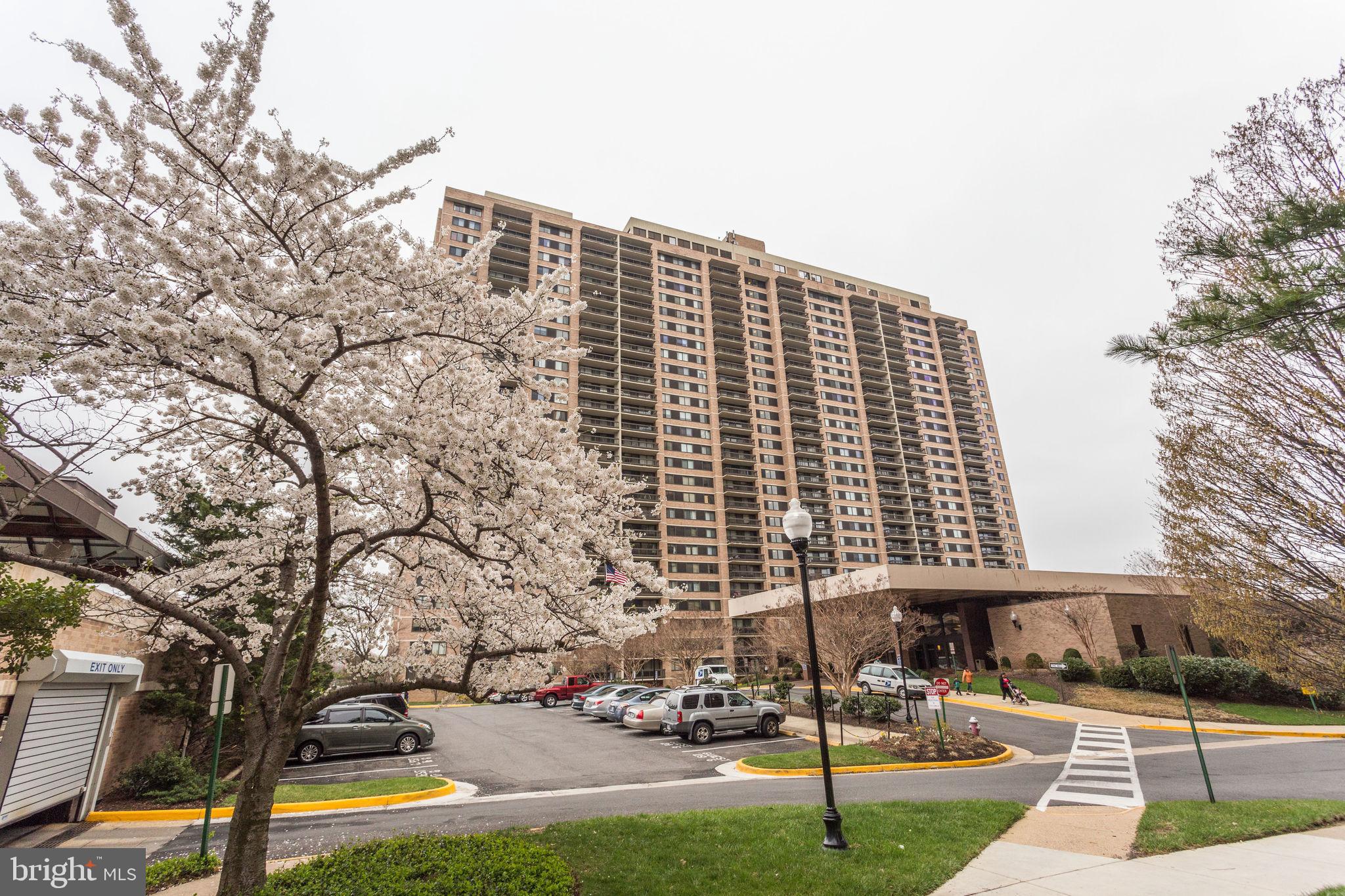 5501 Seminary Road, Unit 2001S Falls Church, VA 22041 - Photo 26 of 28