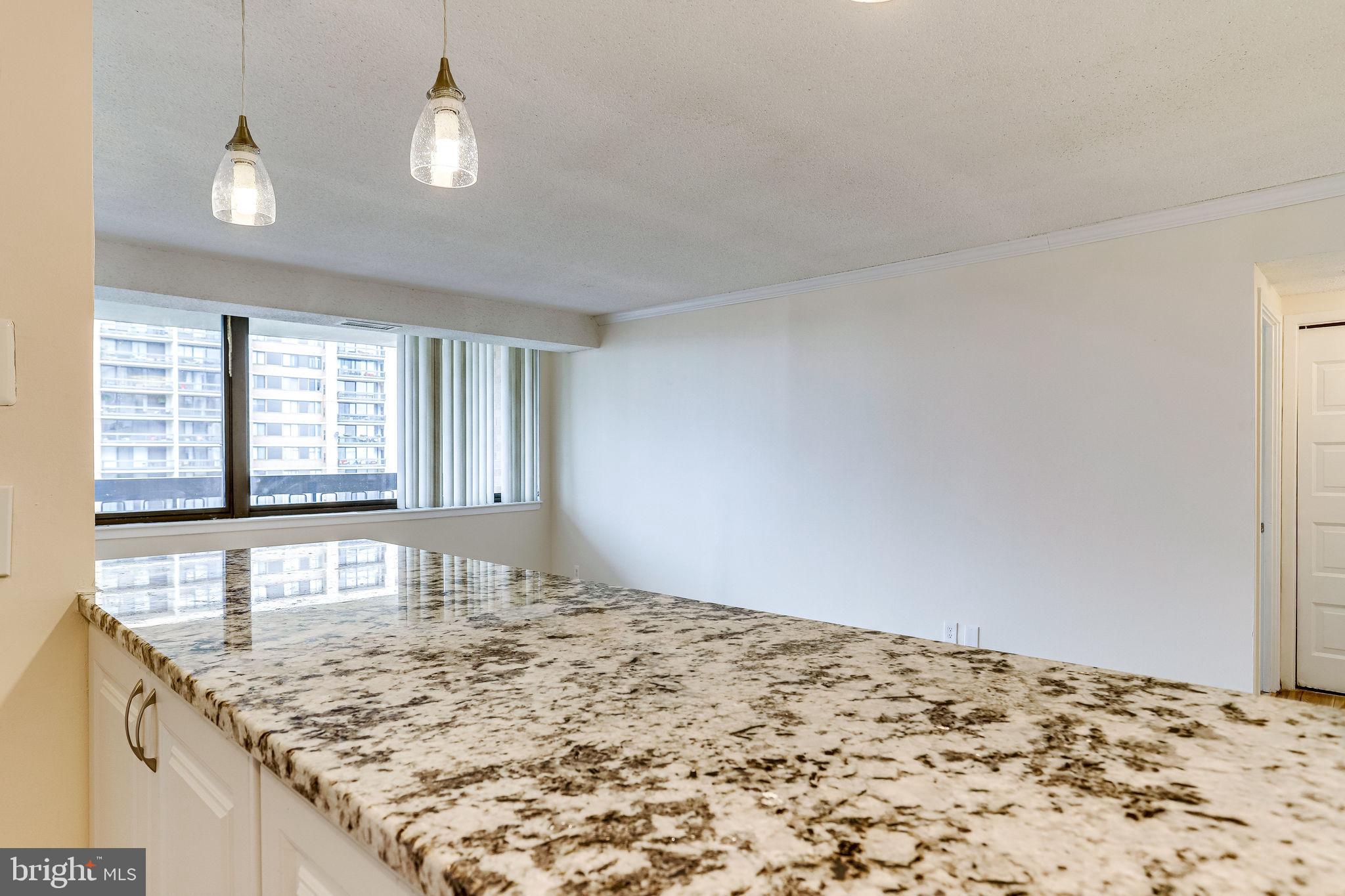 5501 Seminary Road, Unit 2001S Falls Church, VA 22041 - Photo 10 of 28