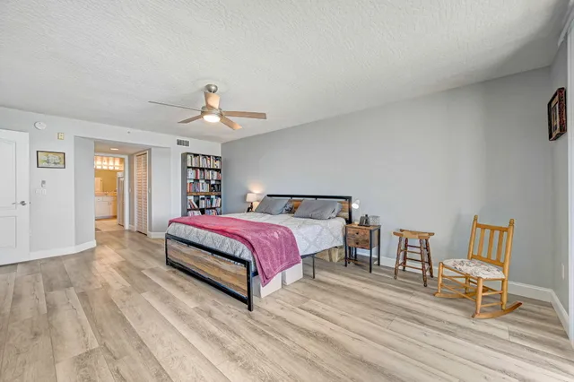 a view of a palm trees in a yard