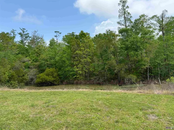 $44,500 | 17230 Tchula Drive, Springfield, LA 70462