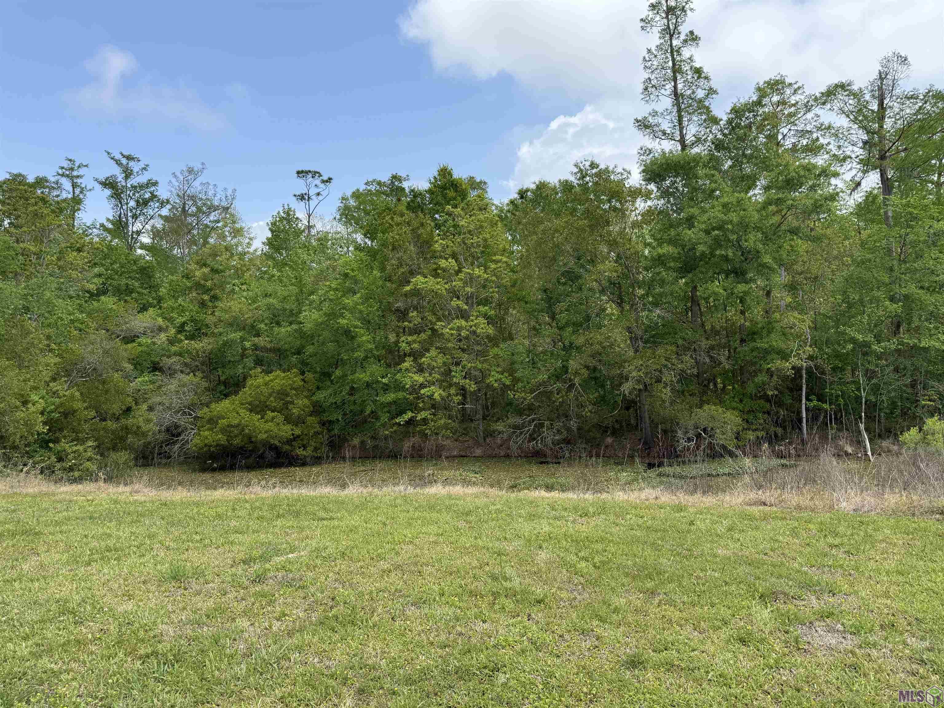 17230 Tchula Drive Springfield, LA 70462 - Photo 2 of 10