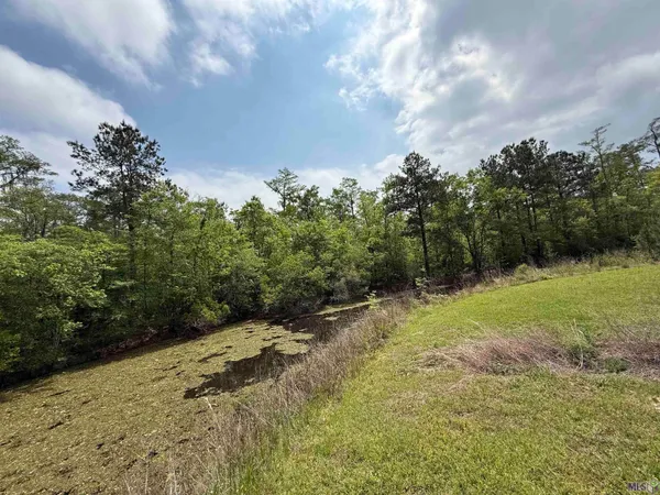 $44,500 | 17230 Tchula Drive, Springfield, LA 70462