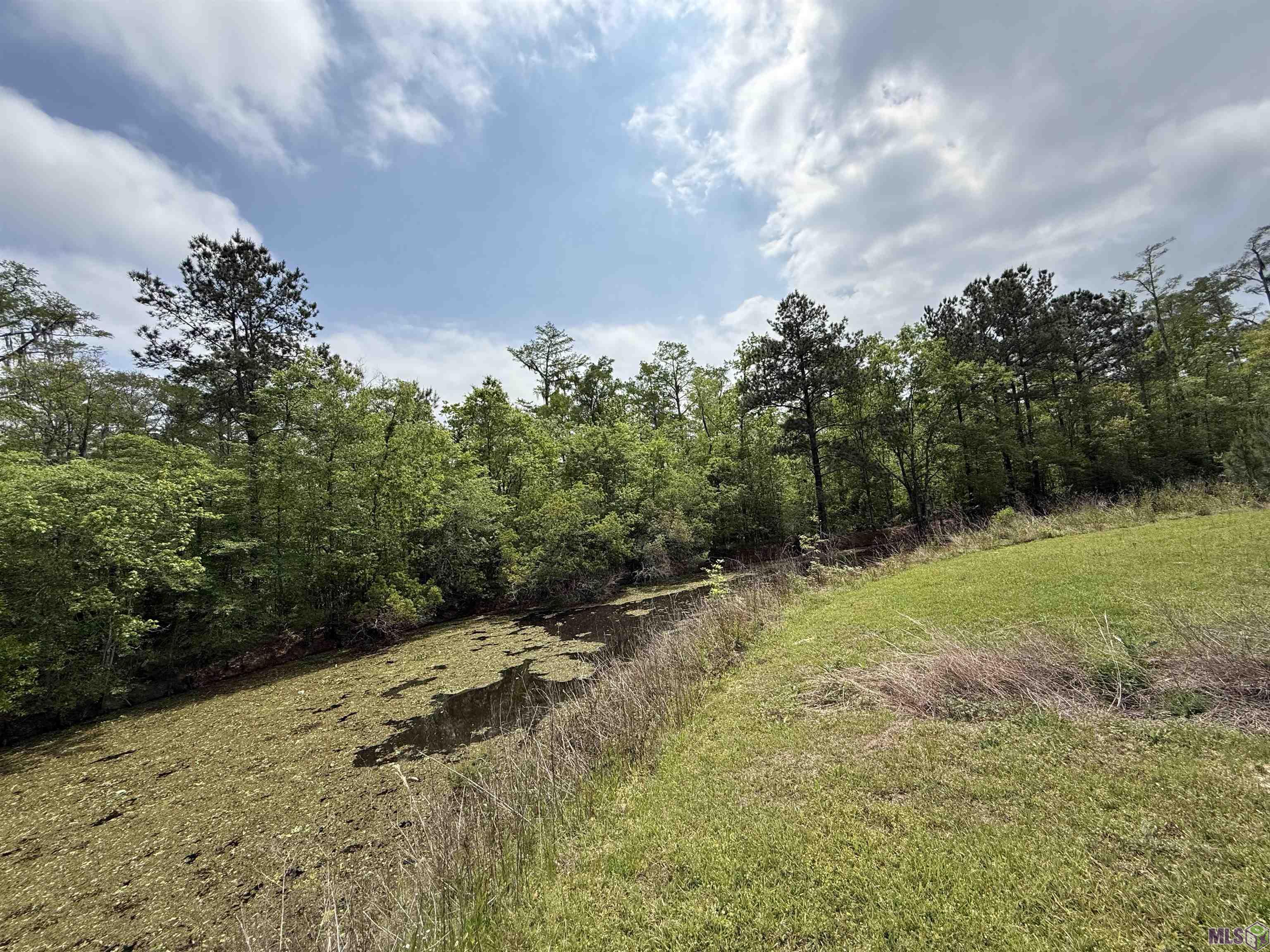 17230 Tchula Drive Springfield, LA 70462 - Photo 4 of 10