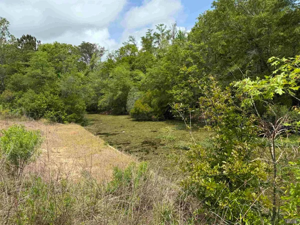 $44,500 | 17230 Tchula Drive, Springfield, LA 70462