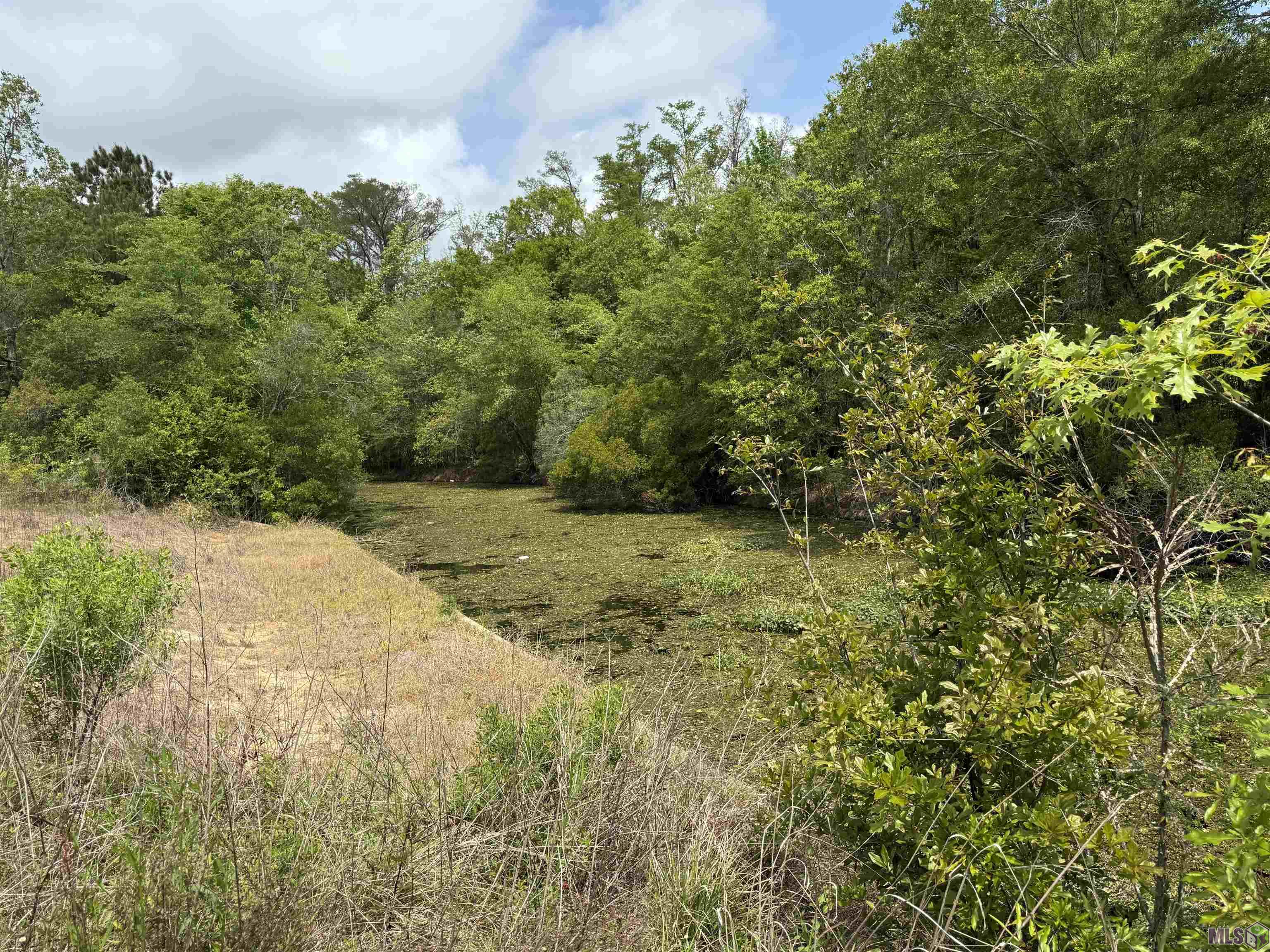 17230 Tchula Drive Springfield, LA 70462 - Photo 5 of 10