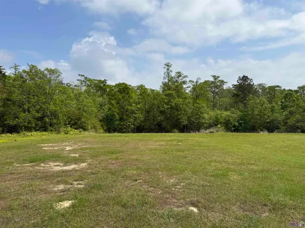 $44,500 | 17230 Tchula Drive, Springfield, LA 70462