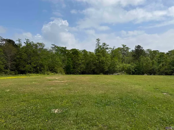 $44,500 | 17230 Tchula Drive, Springfield, LA 70462