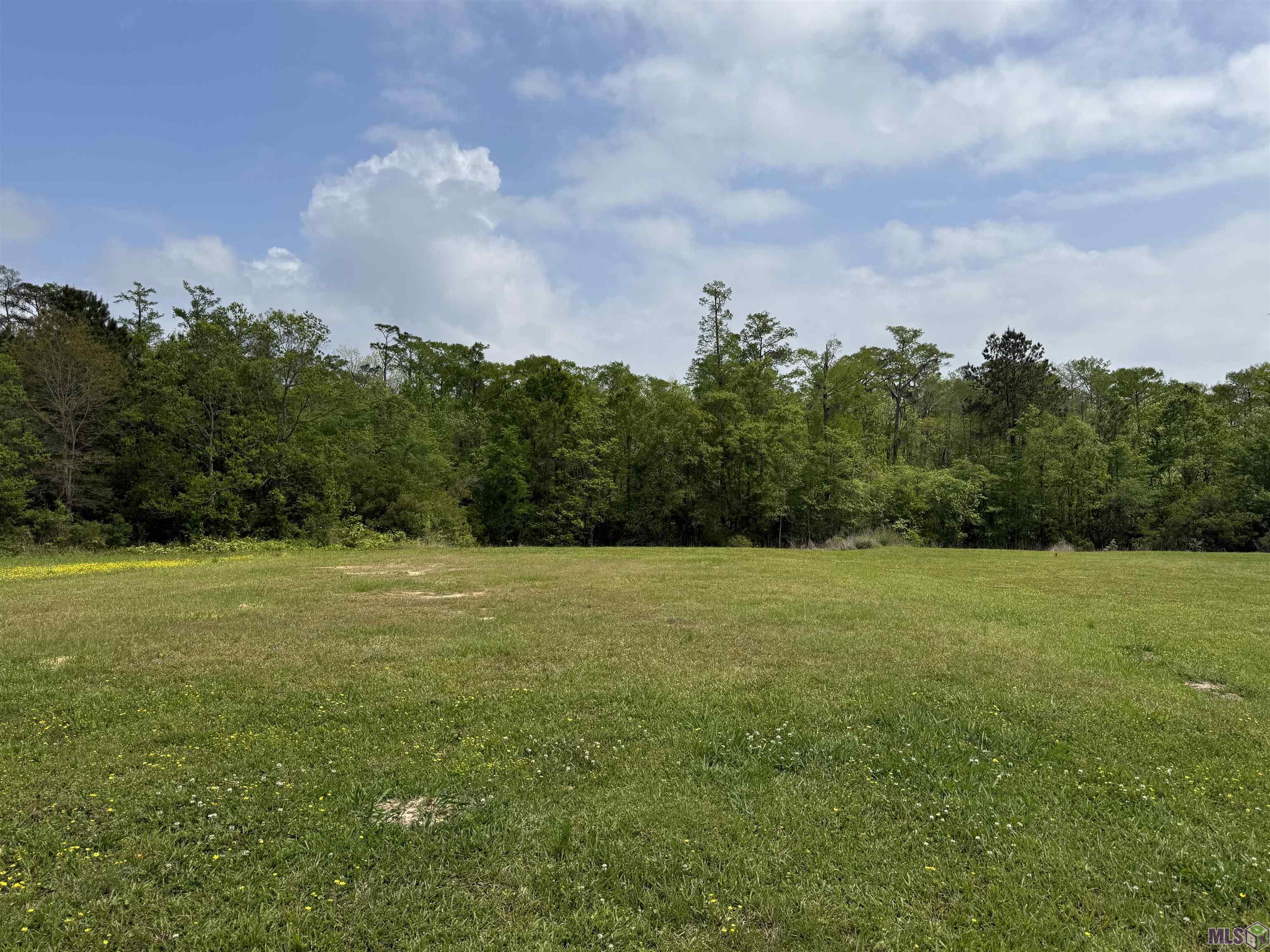 17230 Tchula Drive Springfield, LA 70462 - Photo 7 of 10