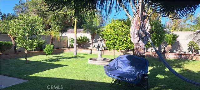 a view of a backyard with table and chairs potted plants and palm trees