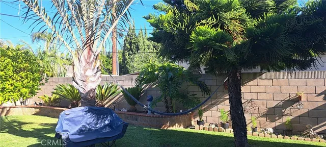 a view of a yard with plants