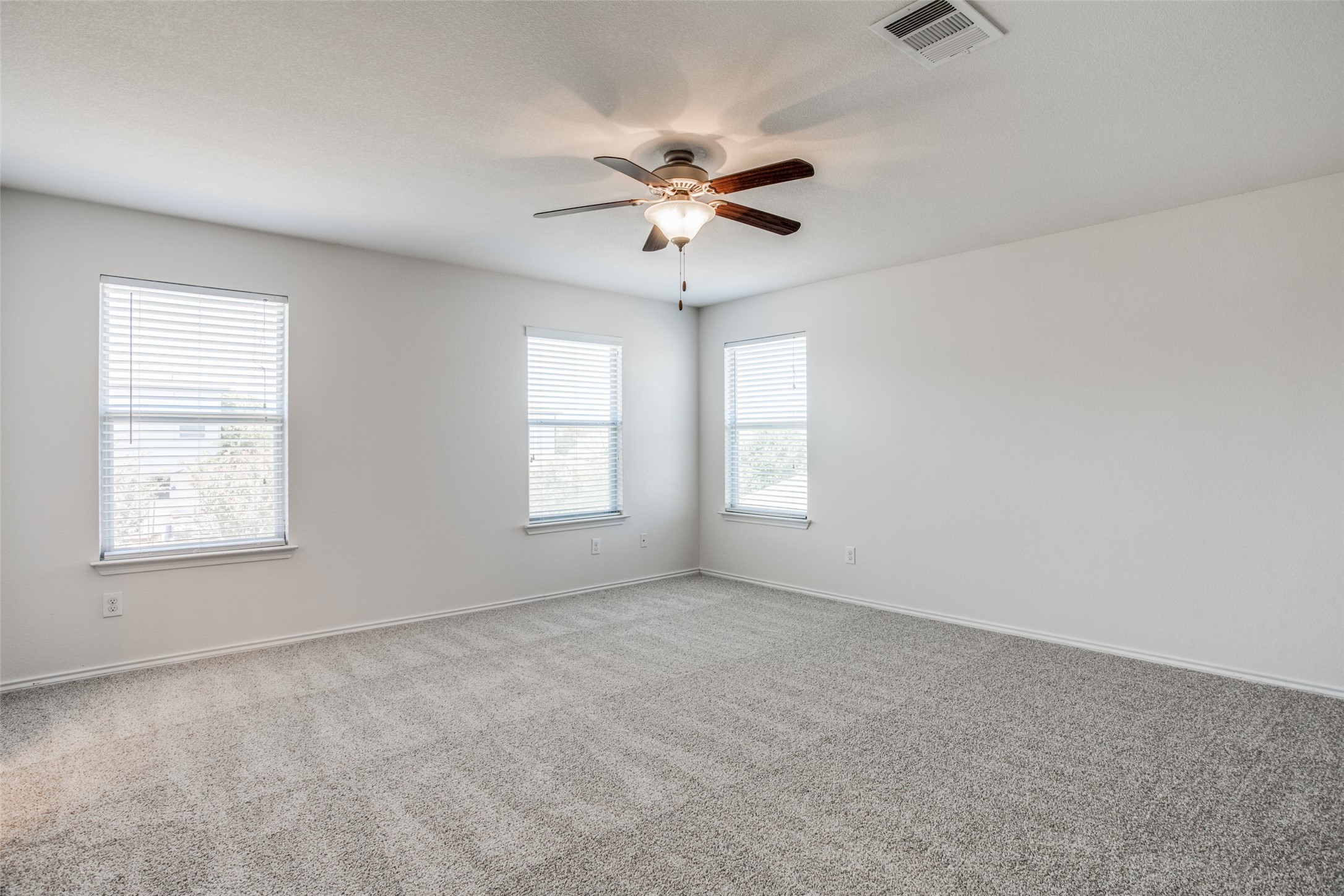 2017 Sydnee Drive Leander, TX 78641 - Photo 14 of 24