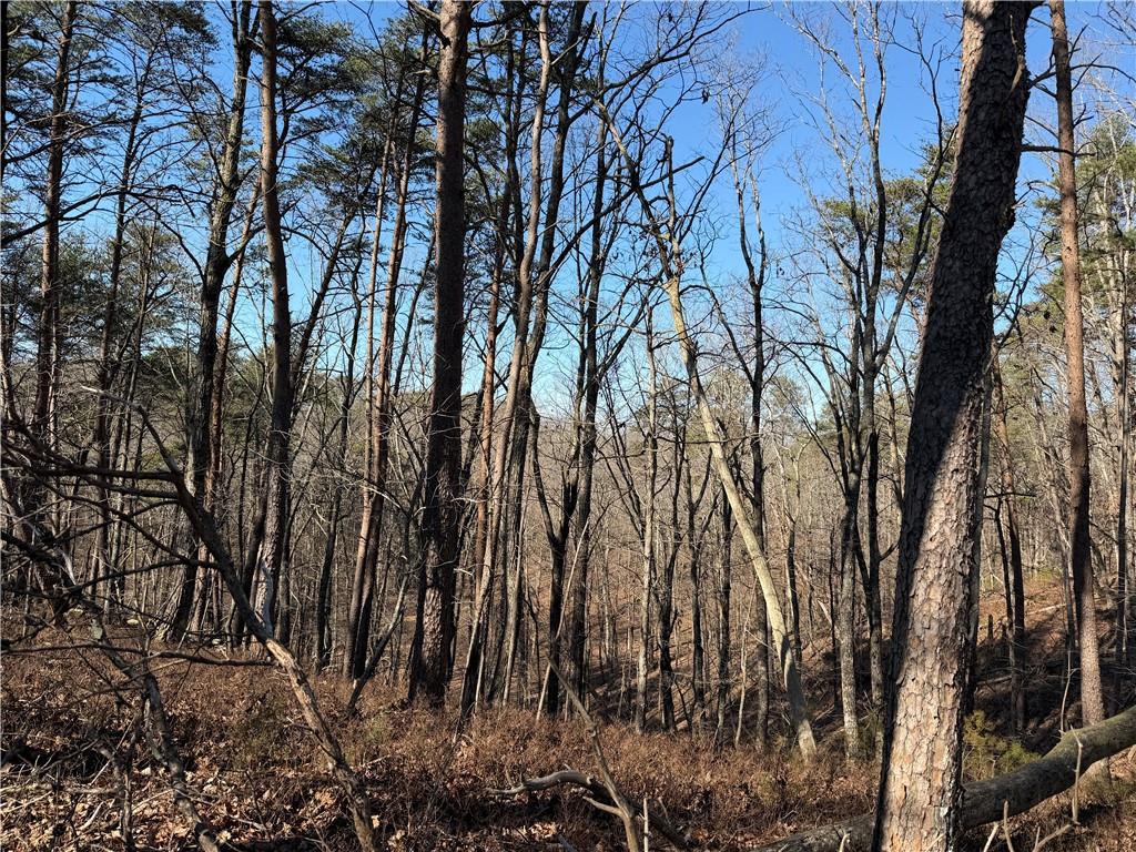 0 Brookshire Road Ranger, GA 30734 - Photo 12 of 59 a view of a yard