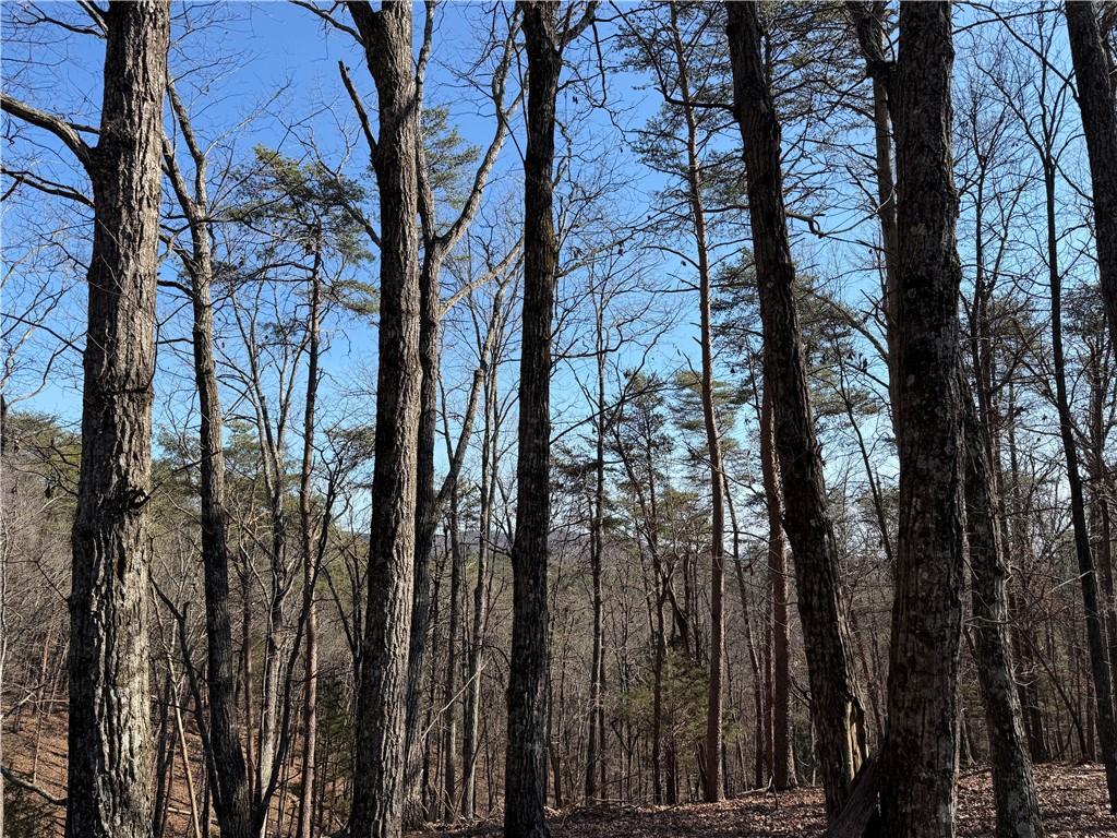 0 Brookshire Road Ranger, GA 30734 - Photo 13 of 59