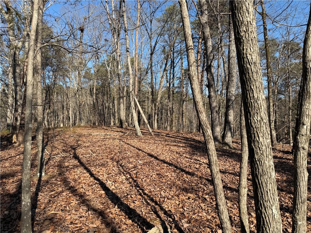 0 Brookshire Road Ranger, GA 30734 - Photo 15 of 59 a view of a yard with plants and trees