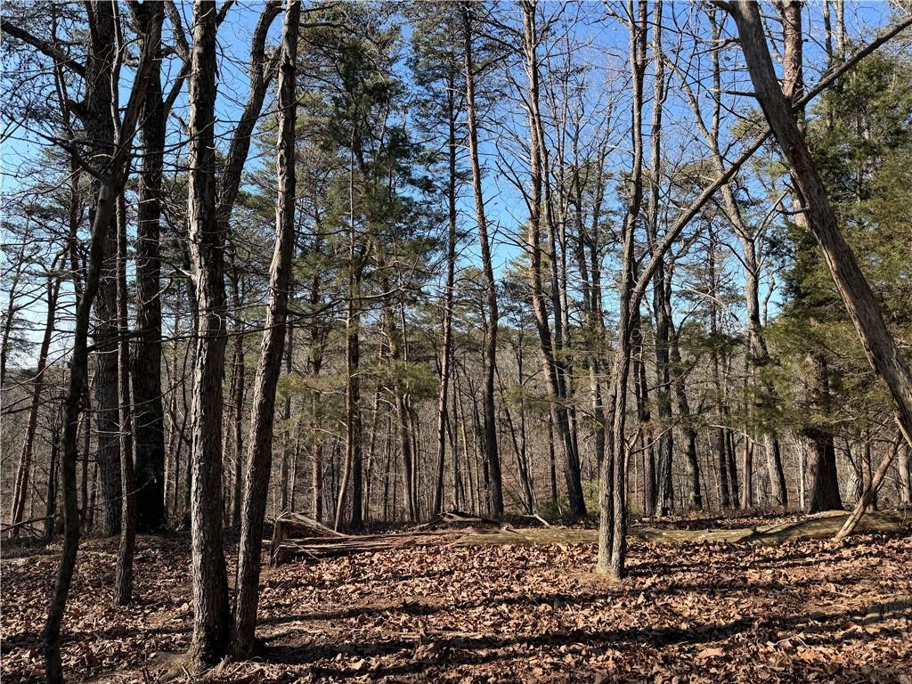 0 Brookshire Road Ranger, GA 30734 - Photo 16 of 59 a view of a backyard