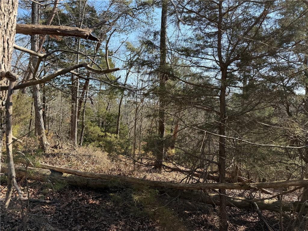 0 Brookshire Road Ranger, GA 30734 - Photo 17 of 59 a view of swimming pool and mountain in the background