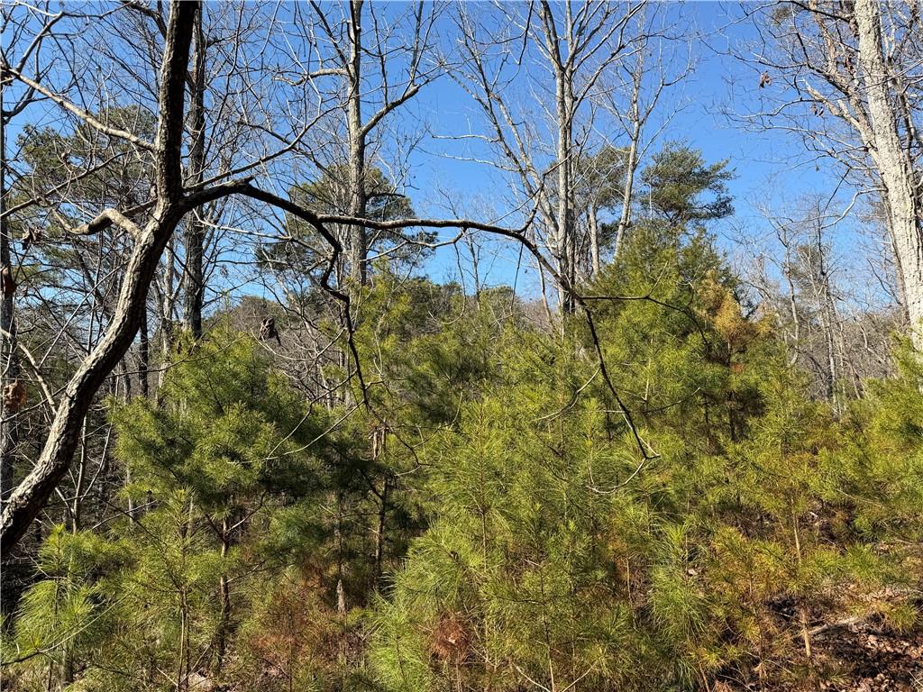 0 Brookshire Road Ranger, GA 30734 - Photo 18 of 59