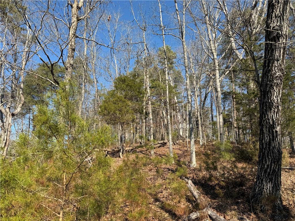 0 Brookshire Road Ranger, GA 30734 - Photo 19 of 59