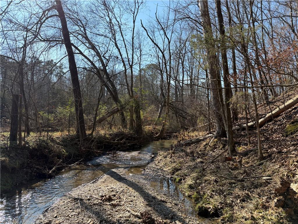 0 Brookshire Road Ranger, GA 30734 - Photo 20 of 59 a backyard of a house with lots of green space