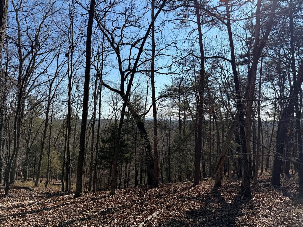 0 Brookshire Road Ranger, GA 30734 - Photo 2 of 59 a view of trees in a backyard