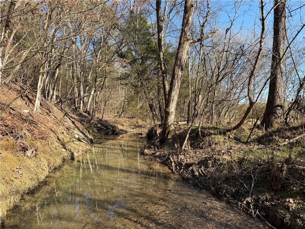 0 Brookshire Road Ranger, GA 30734 - Photo 21 of 59 a view of building with large trees
