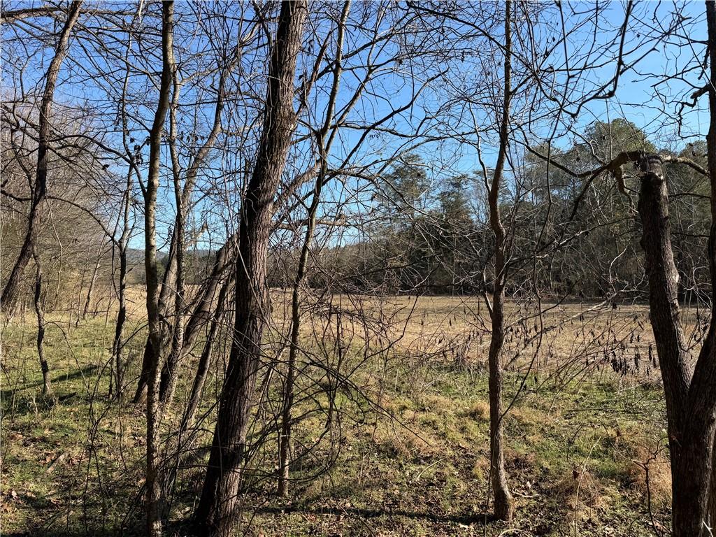 0 Brookshire Road Ranger, GA 30734 - Photo 22 of 59