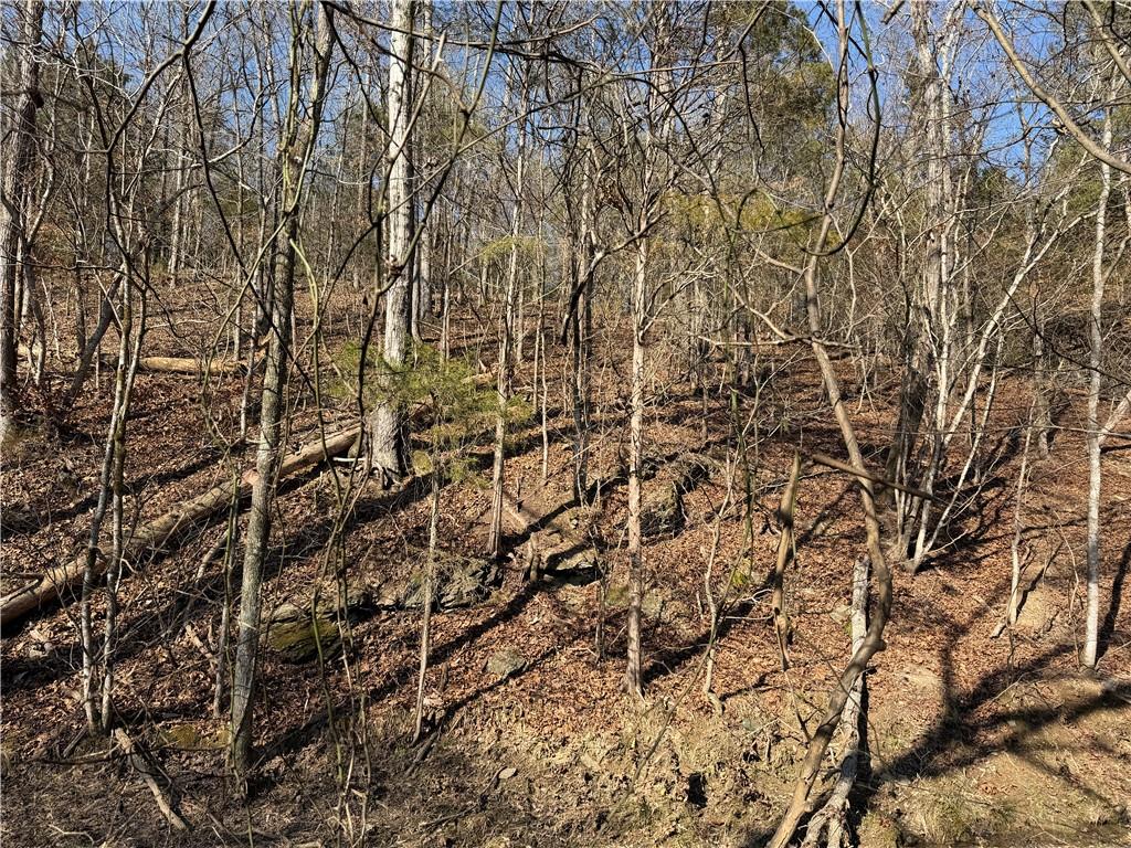 0 Brookshire Road Ranger, GA 30734 - Photo 23 of 59 a backyard of a house with lots of trees