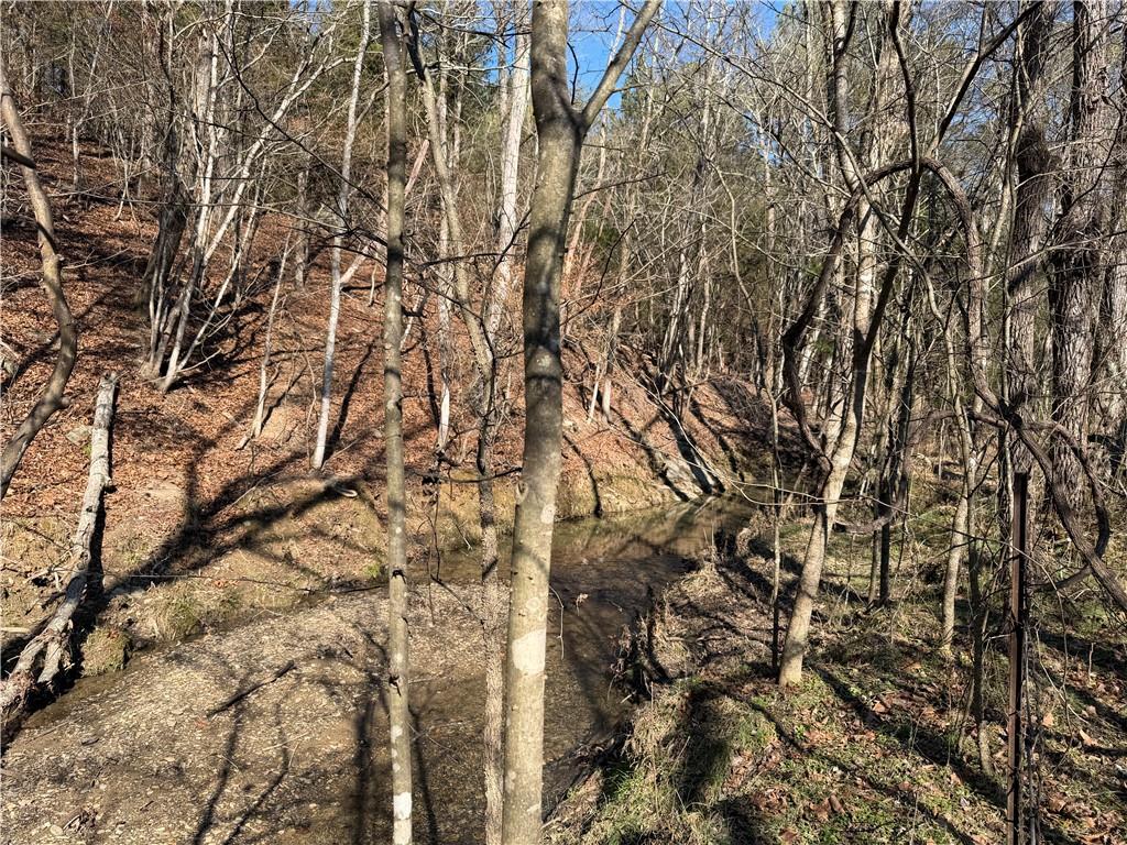 0 Brookshire Road Ranger, GA 30734 - Photo 24 of 59 a picture of tree